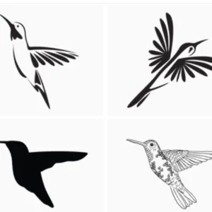 Hummingbird Svg Bundle