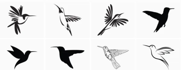 Hummingbird Svg Bundle