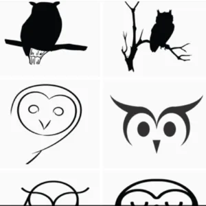 Owl Svg Bundle