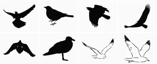 Seagull Svg Bundle