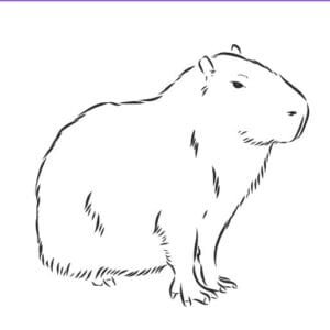 Capybara Svg