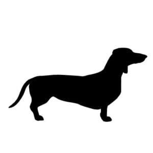 Dachshund Svg