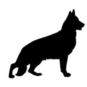 German Shepherd Svg