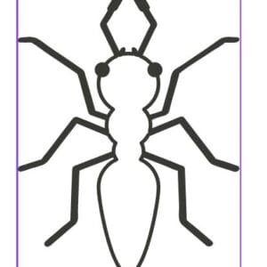 Ant Svg