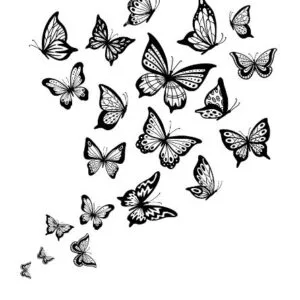 Butterfly Svg Bundle
