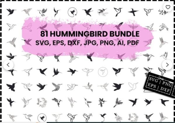 Hummingbird Svg