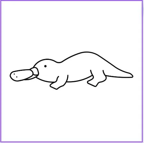 Platypus Svg Bundle