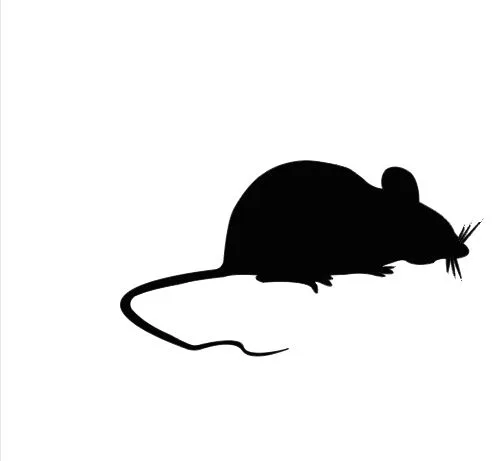 Rat Svg