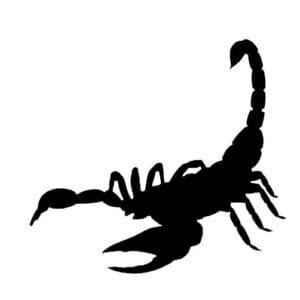 Scorpion Svg