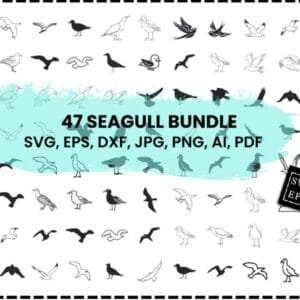 Seagull Svg