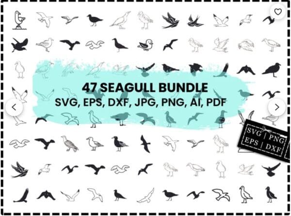 Seagull Svg