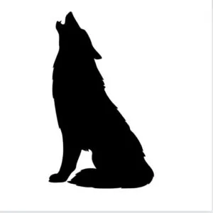 Wolf Svg Bundle