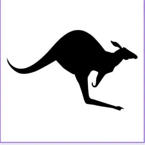 Kangaroo Svg